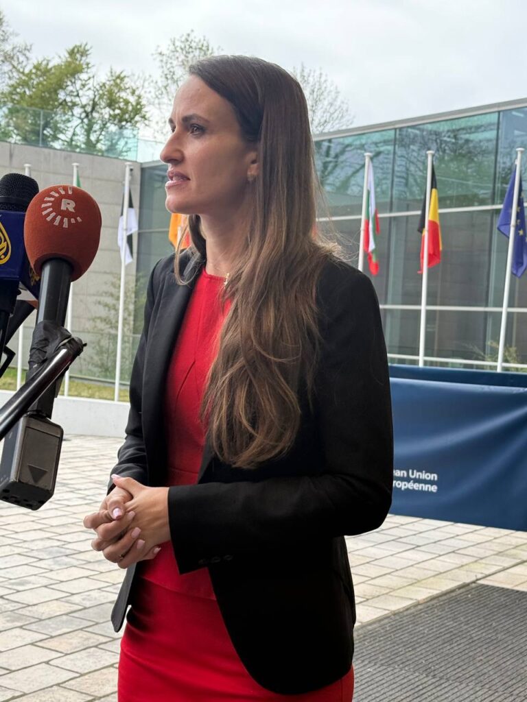 Romanian Foreign Minister Oana-Silvia Toiu said that the people of Georgia are firmly connected to the European idea, but reforms are needed to continue along this path.