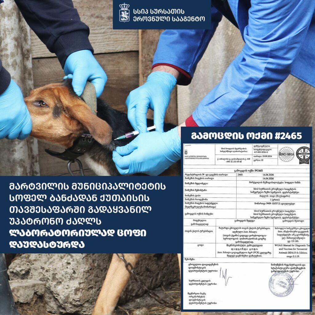 Rabies quarantine in Georgia. Photo by Georgia’s National Food Agency
