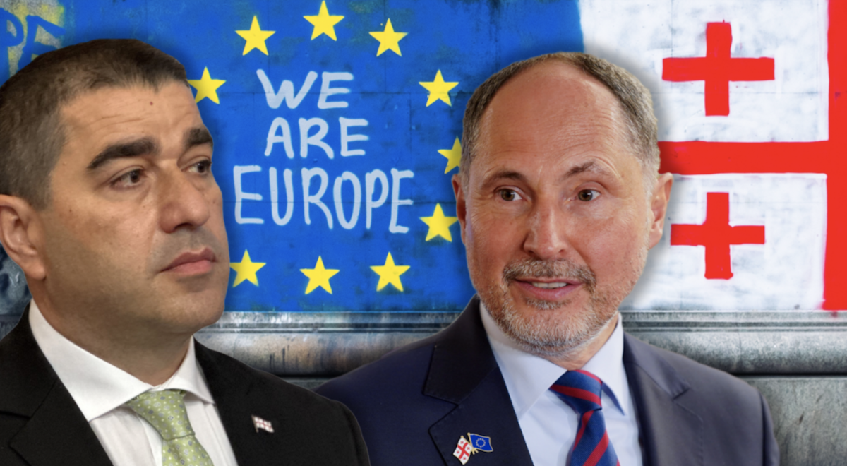 Forse l'Europa stessa sta avvicinandosi a un passato oscuro, dice il presidente del Parlamento georgiano all'inviato dell'UE