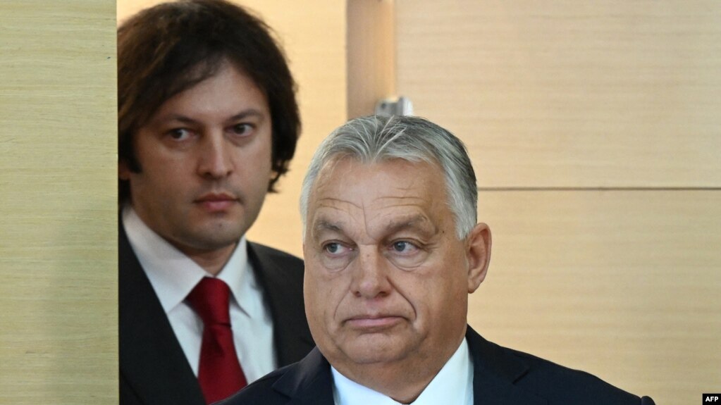 Hungarian elections and Georgia