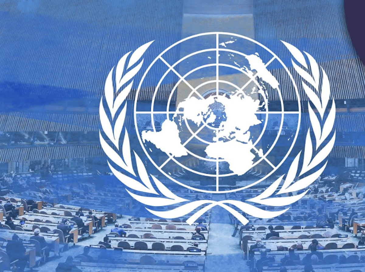 ONU sostiene la risoluzione sponsorizzata dalla Georgia sui rifugiati e gli sfollati di Abcasia e Ossezia del Sud