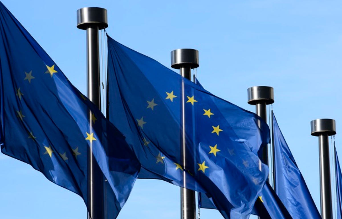 Il Comitato dei Ministri del Consiglio d'Europa esorta la Georgia a rivedere la legislazione