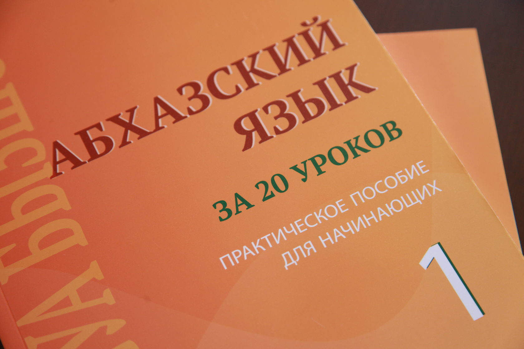 Abkhaz-language requirement for parliamentary candidates