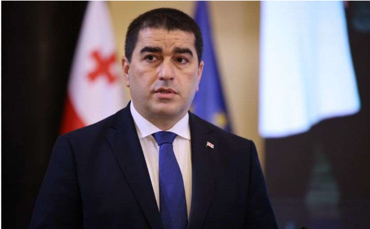 Georgian parliament speaker on the PACE resolution