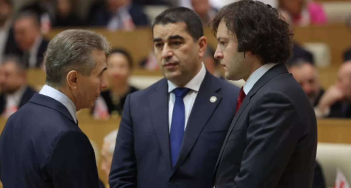 Presidente del Parlamento della Georgia: «Qual è il senso dell’adesione all’UE se ti viene tolto il beneficio principale?»