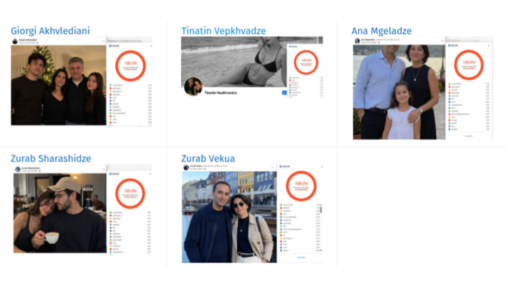 Fake accounts created to support Georgia's prime minister