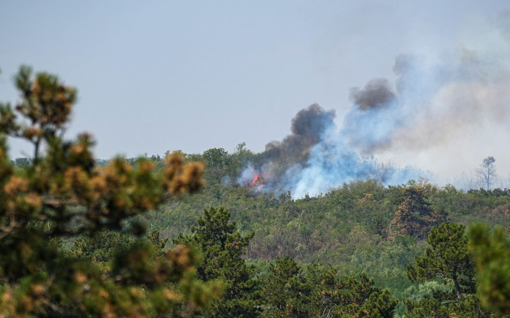 La Serbia non ha attivato il Meccanismo di Protezione Civile dell'UE, ma si è rivolta alla Russia per un aeroplano antincendio Ilyushin