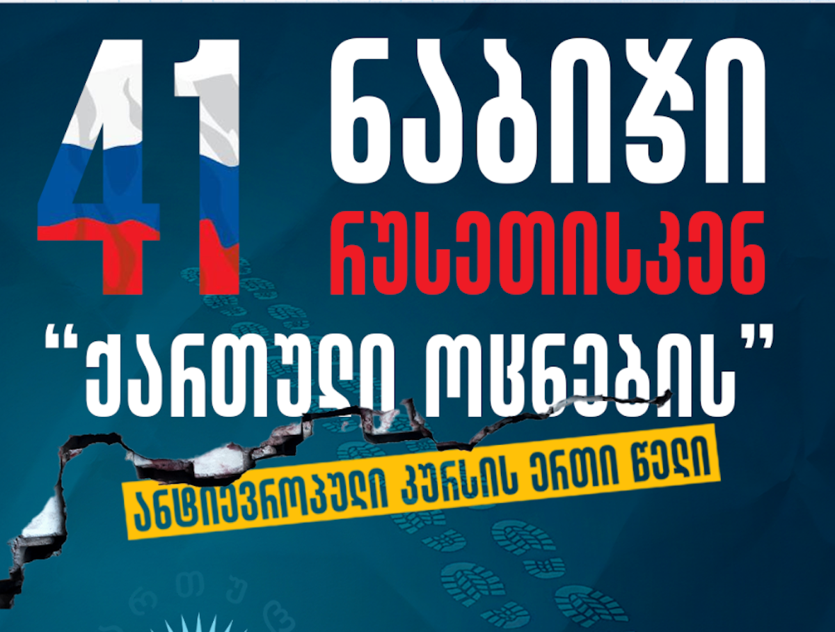 Report on the Georgian Dream’s policies in 2025