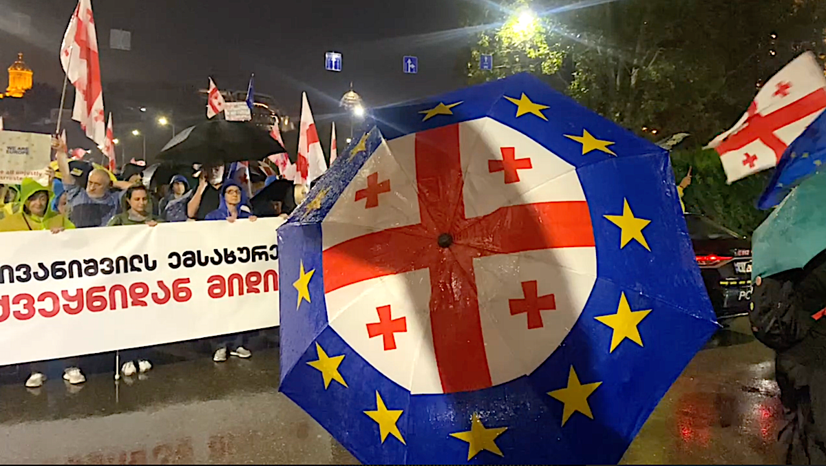 Quando lo Stato serve un oligarca, la gente se ne va: marcia a Tbilisi | Proteste in Georgia – Vlog