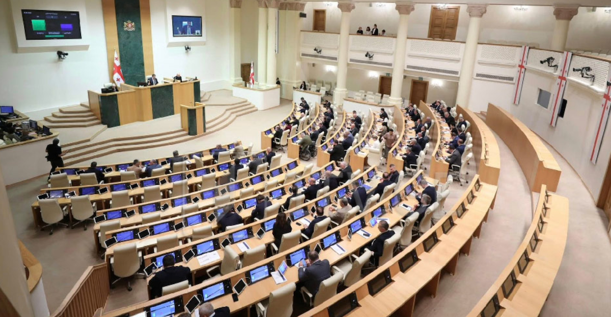 Come funziona il Parlamento della Georgia? L'SJC analizza i processi legislativi attuali