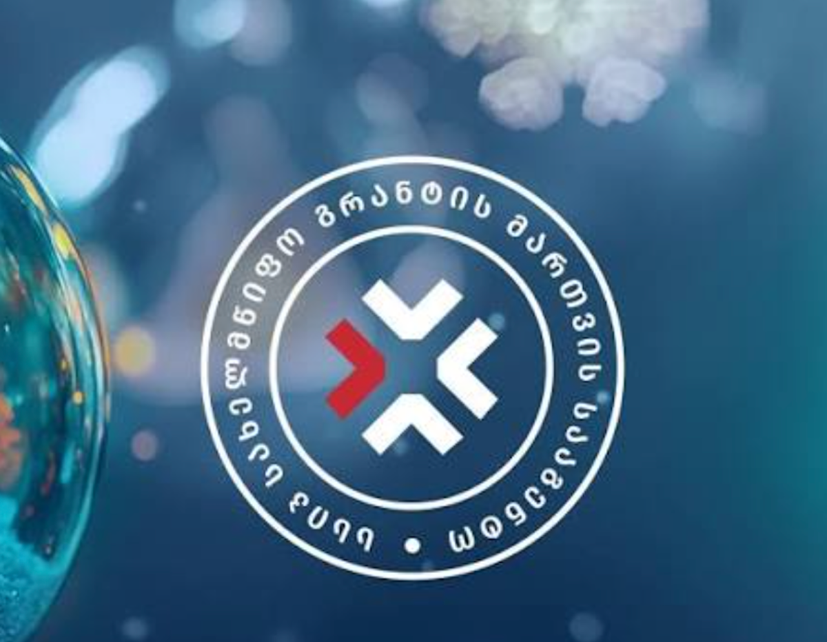 «Le ONG sono un fenomeno artificiale» — Georgia chiude l'agenzia delle sovvenzioni