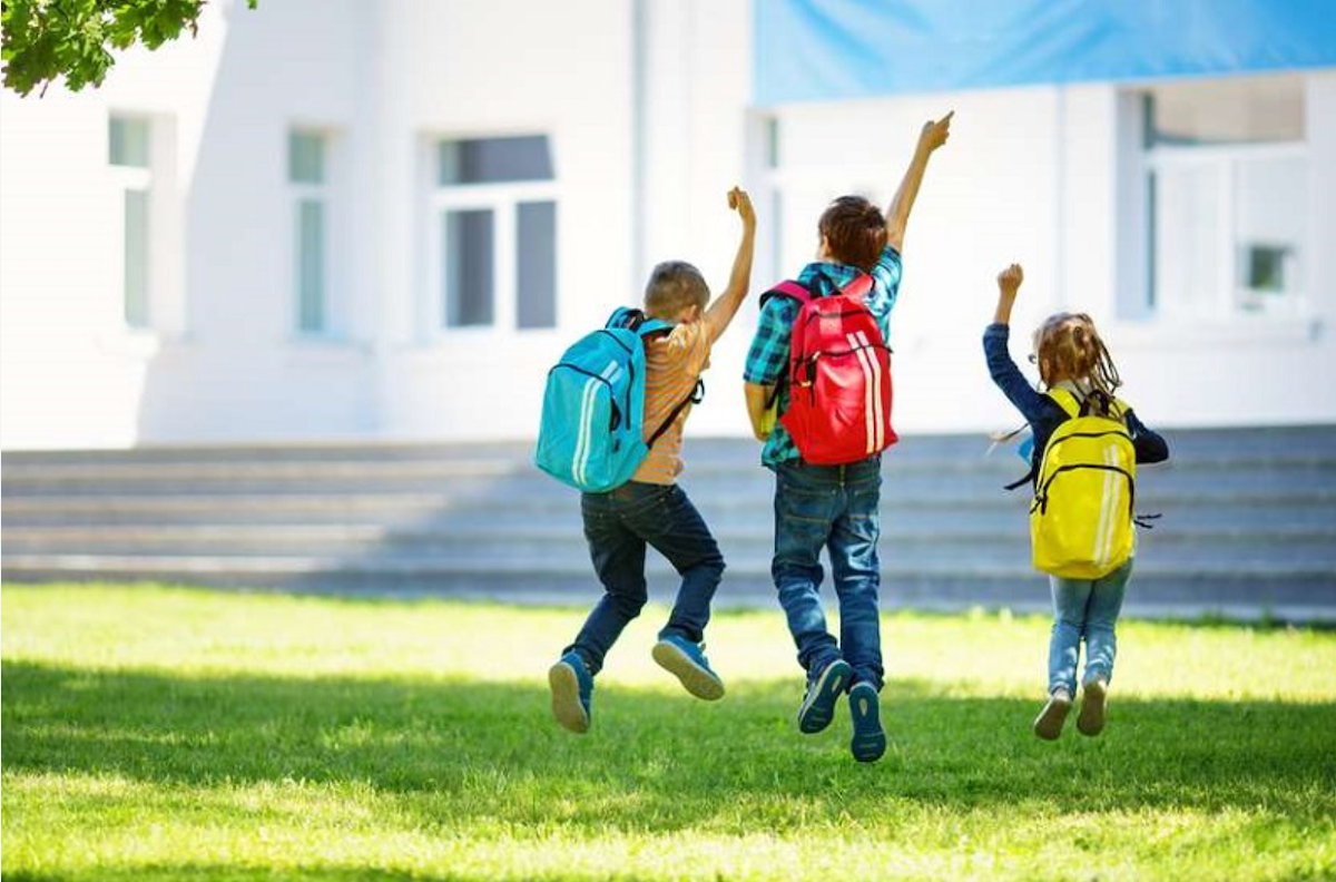Progresso o declino: cosa ha rilevato uno studio sulla qualità dell'istruzione scolastica in Georgia