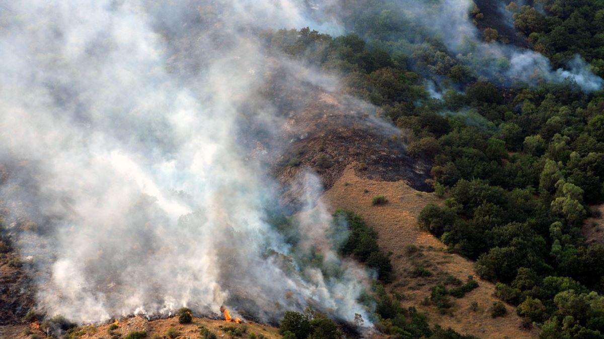 Multa per incendi boschivi in Armenia: monitorata da unità di pattuglia ecologica